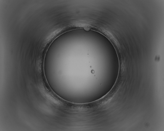 X0000091510533200708241631