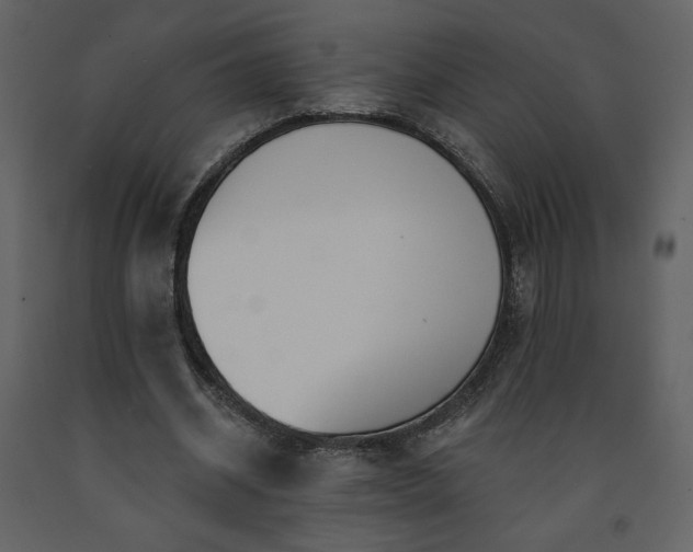 X0000091510534200708241631