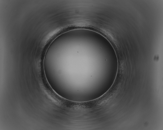 X0000091510535200708241631