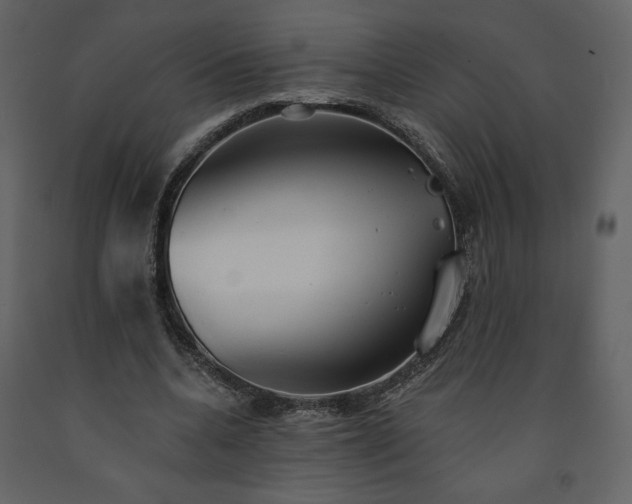 X0000091510536200708241631