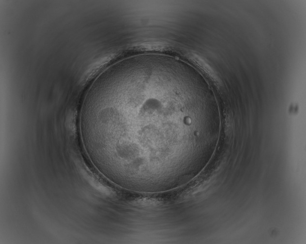 X0000091510537200708241631