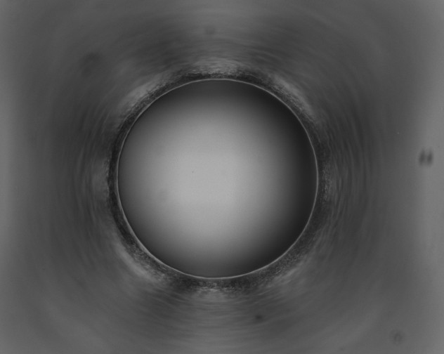 X0000091510538200708241631