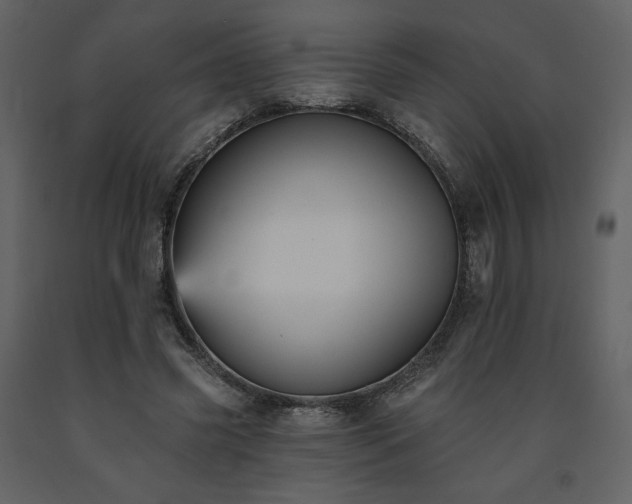 X0000091510541200708241631