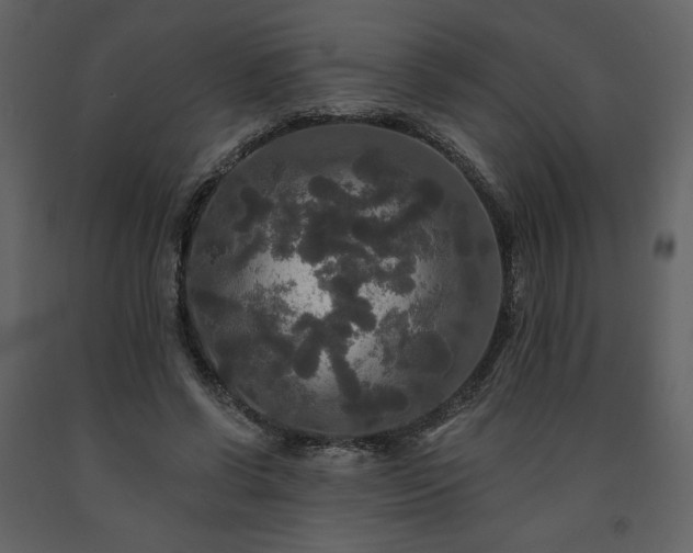 X0000091510542200708241631