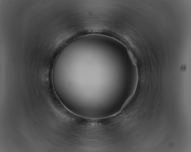 X0000091510543200708241631