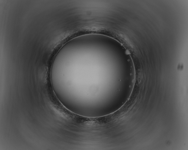 X0000091510544200708241631