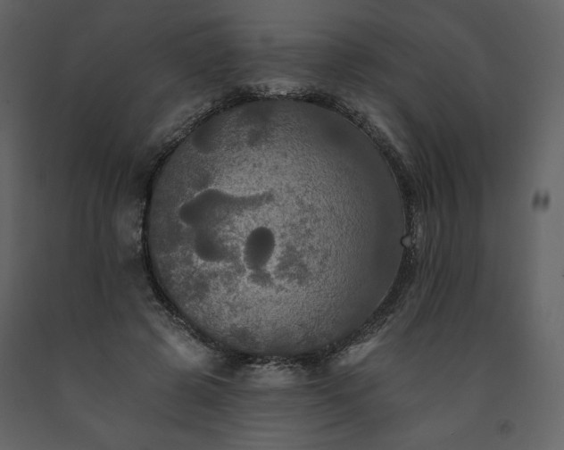 X0000091510545200708241631