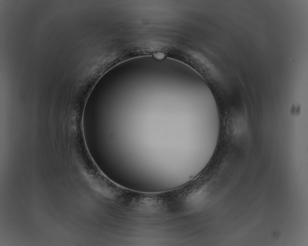 X0000091510546200708241631