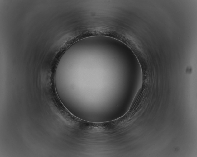 X0000091510548200708241631