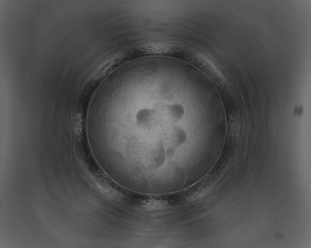 X0000091510549200708241631