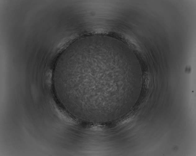 X0000091510550200708241631