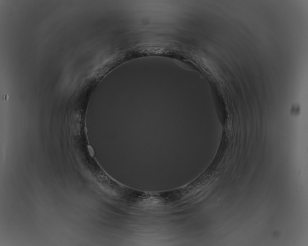 X0000091510551200708241631