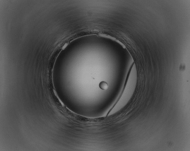 X0000091510552200708241631