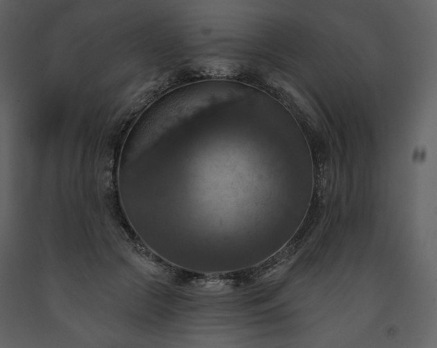 X0000091510553200708241631