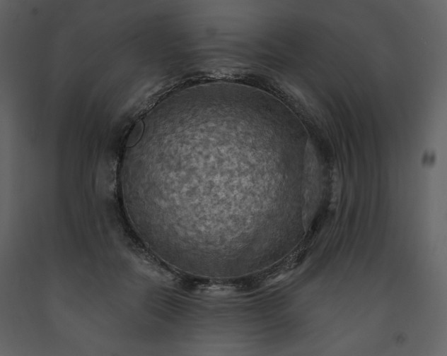 X0000091510554200708241631