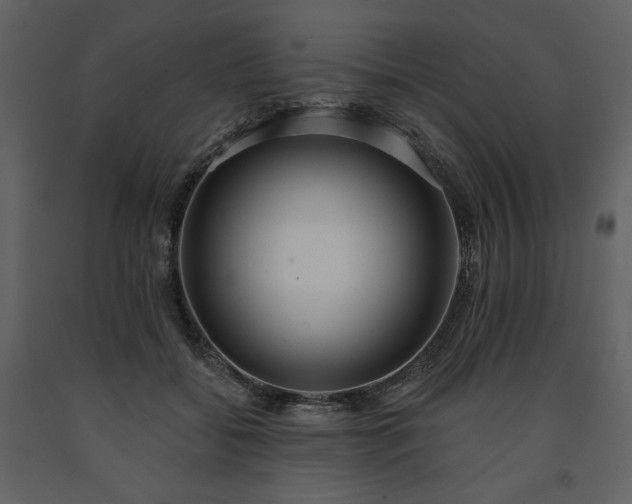 X0000091510556200708241631