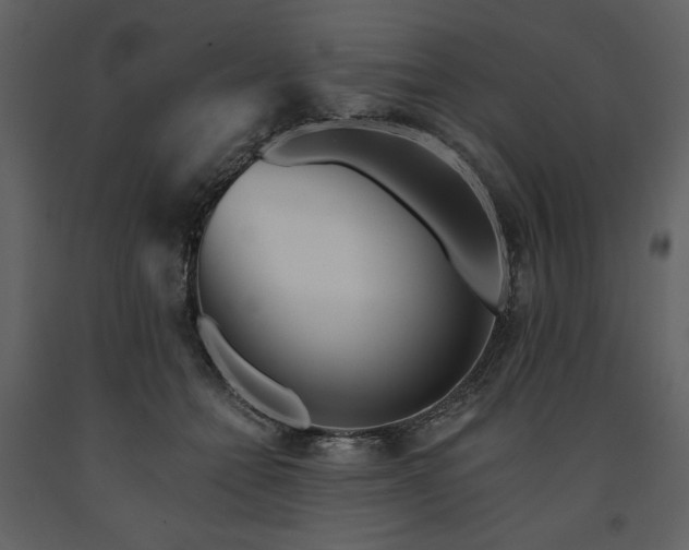 X0000091510558200708241631