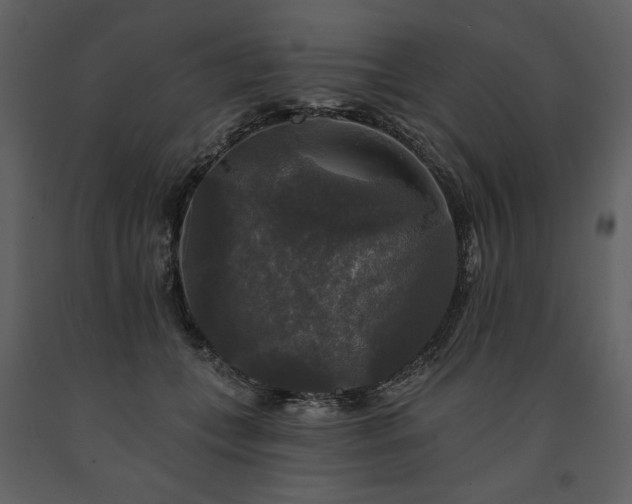 X0000091510559200708241631