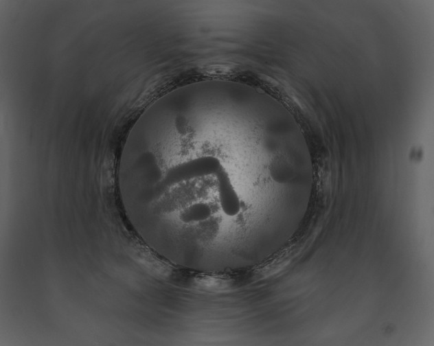 X0000091510561200708241631