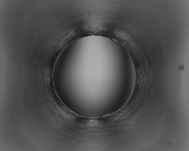 X0000091510562200708241631