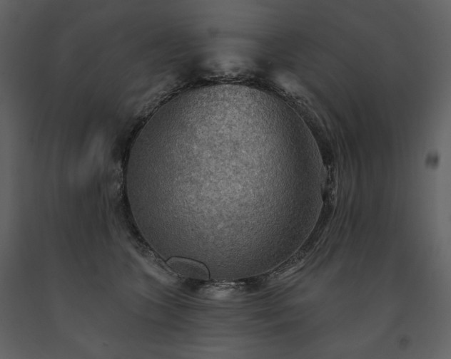 X0000091510563200708241631