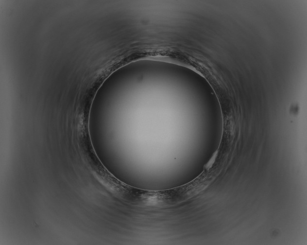 X0000091510564200708241631