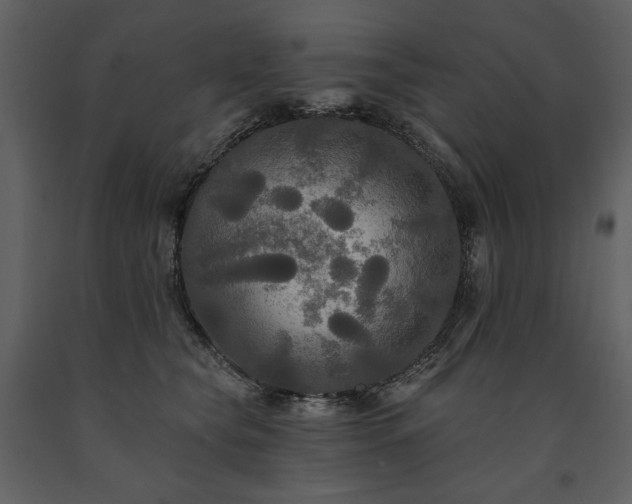 X0000091510565200708241631