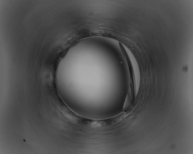 X0000091510566200708241631