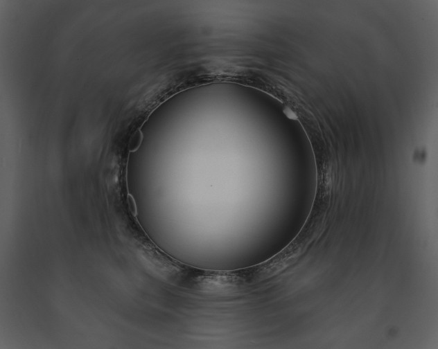 X0000091510567200708241631