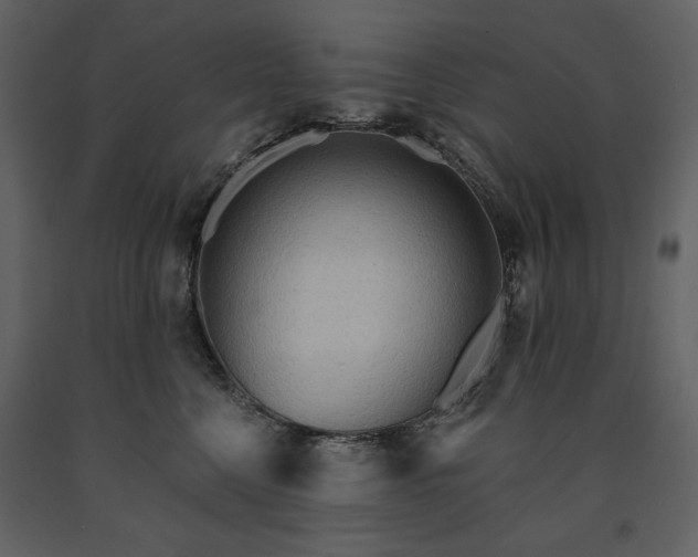 X0000091510568200708241631