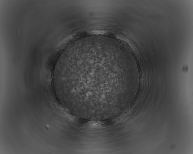 X0000091510569200708241631