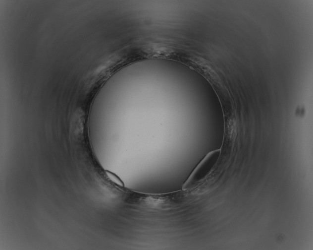 X0000091510570200708241631