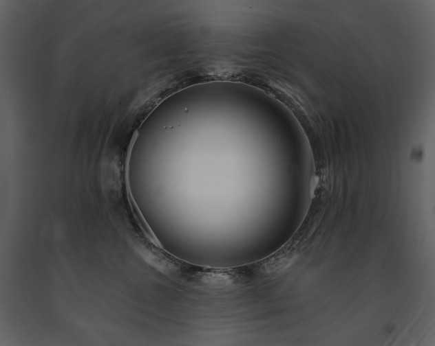 X0000091510572200708241631