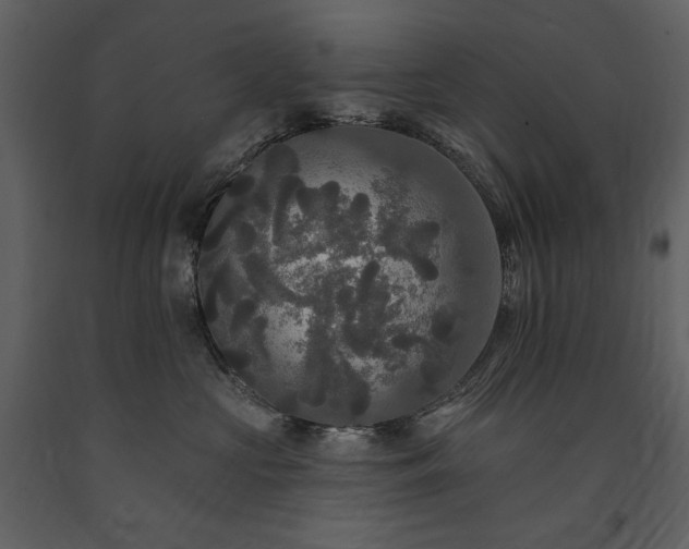 X0000091510573200708241631