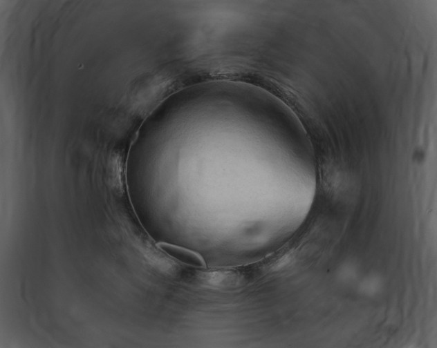 X0000091510575200708241631