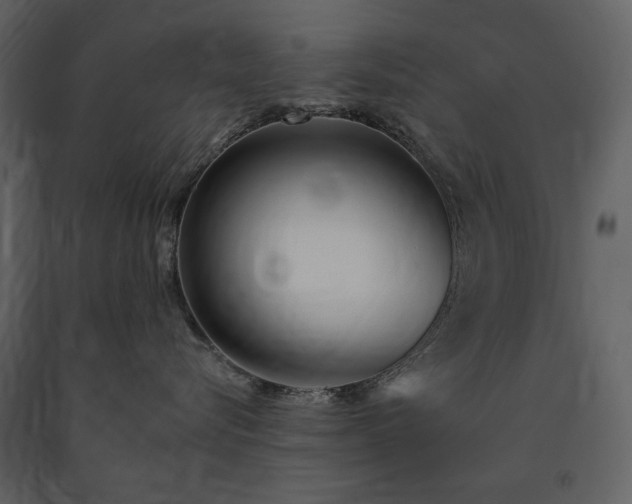 X0000091510576200708241631