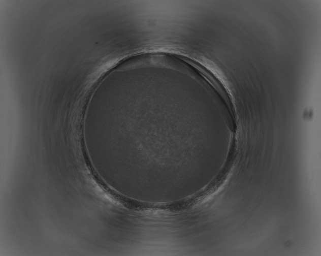 X0000091510577200708241631