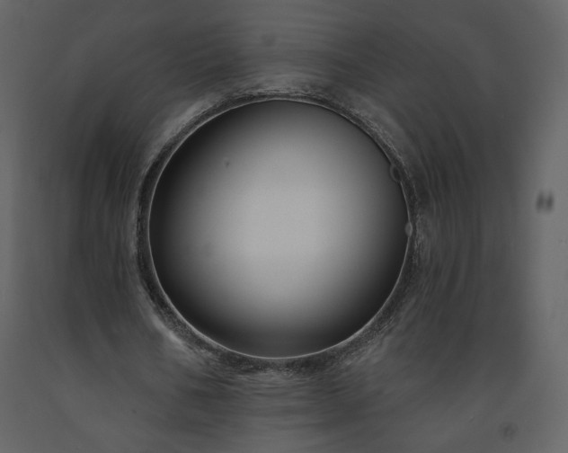 X0000091510578200708241631