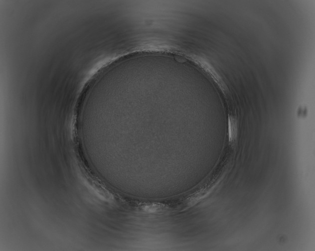 X0000091510579200708241631