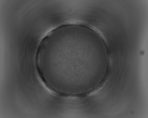 X0000091510581200708241631