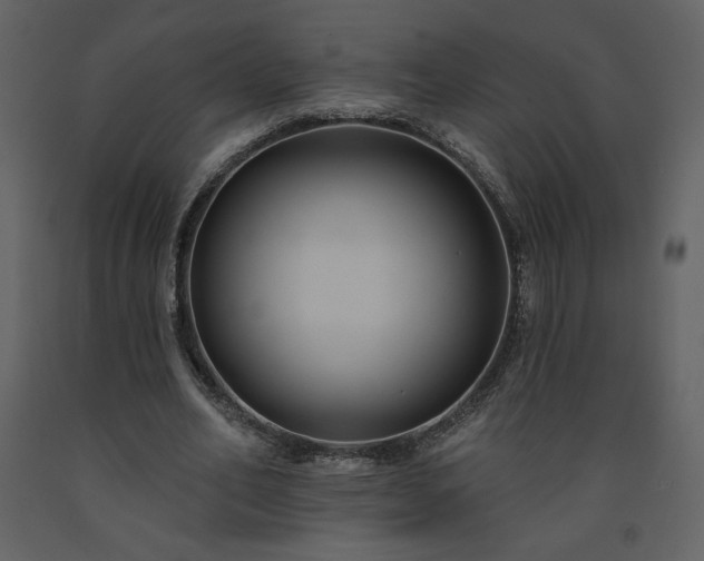 X0000091510582200708241631