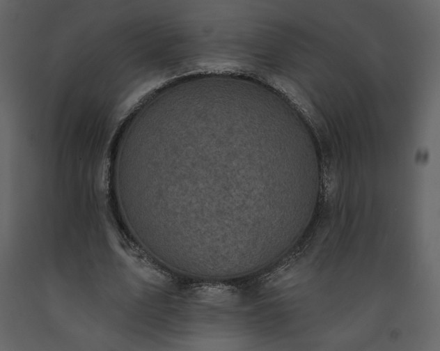 X0000091510583200708241631