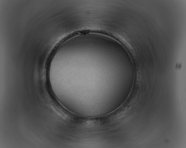 X0000091510584200708241631