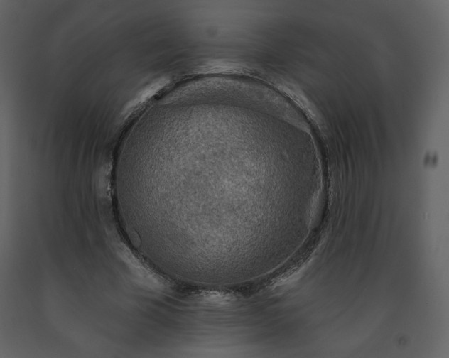 X0000091510585200708241631