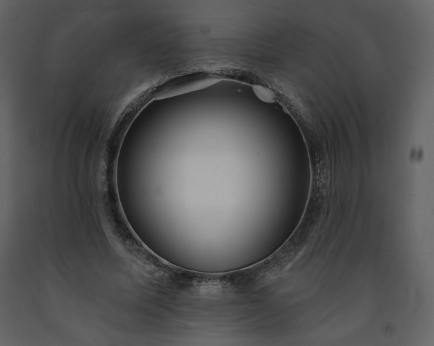 X0000091510587200708241630