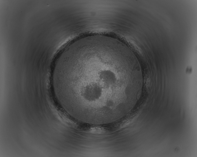 X0000091510591200708241630