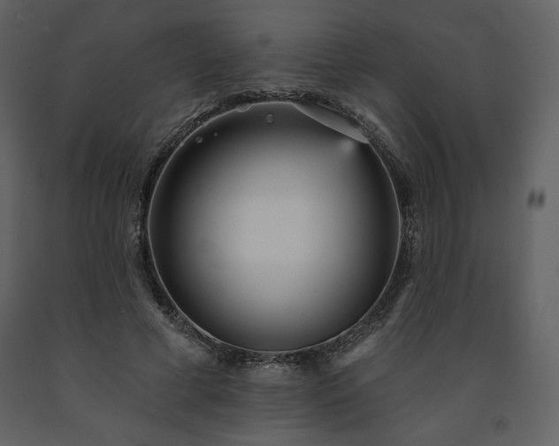 X0000091510593200708241630