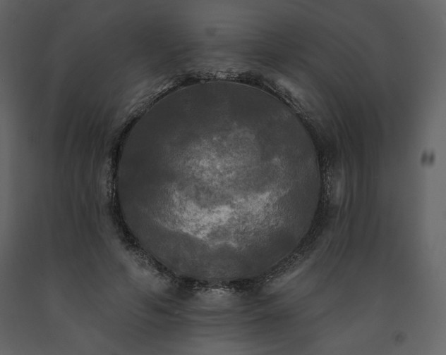 X0000091510594200708241630