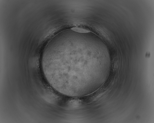 X0000091510595200708241630