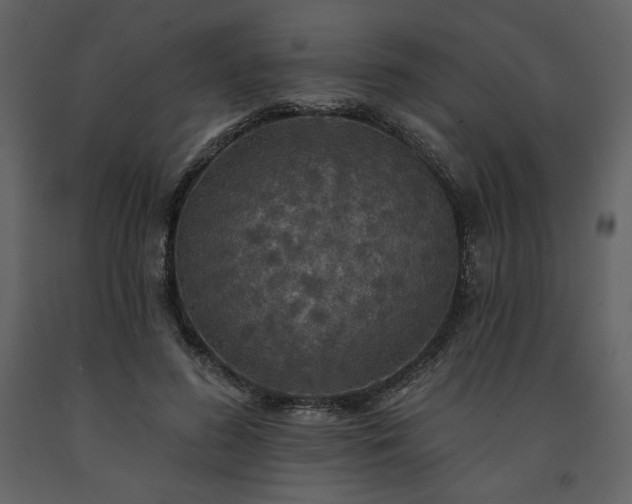 X0000091510596200708241630